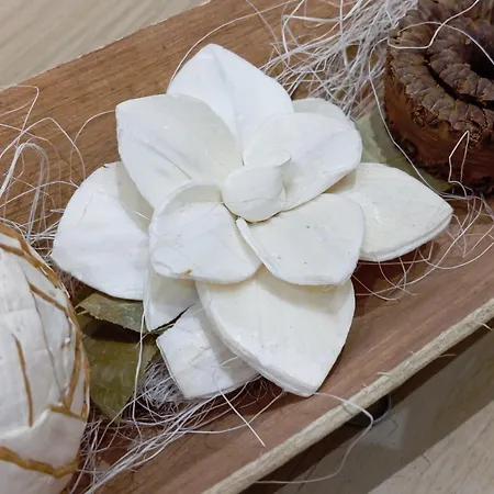 Verga 29 House Bed & Breakfast